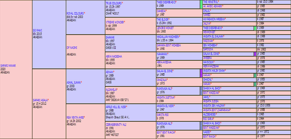 SAFARI MANAR Pedigree