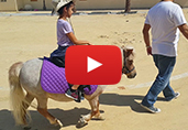 Pony Ride 1